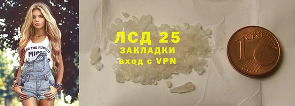 PSILOCYBIN Слюдянка