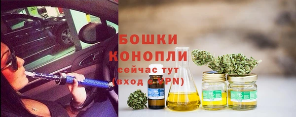 винт Аркадак