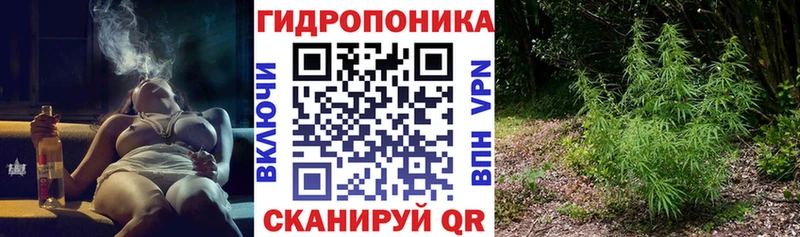 Канабис SATIVA & INDICA  Минеральные Воды 